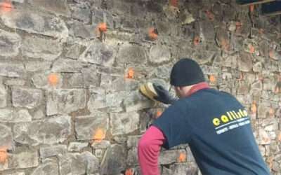 entreprise de traitement des termites et mérule 15 L’agence Callisto du Finistère, un professionnel de choix dans le traitement des champignons lignivores.