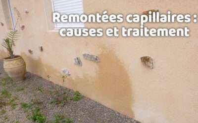 entreprise de traitement des termites et mérule 14 Remontées capillaires au mur : causes et traitement