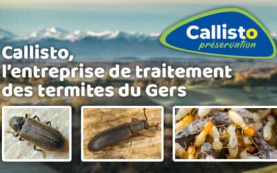 entreprise de traitement des termites et mérule 13 Callisto, l’entreprise de traitement des insectes xylophages et des termites du Gers (32)
