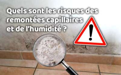 entreprise de traitement des termites et mérule 15 Quels sont les risques des remontées capillaires et de l’humidité ?